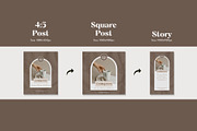 Instagram Templates | Post & Stories, a Social Media Template by Studio DigiCraft (Thumbnail 4 of 8)
