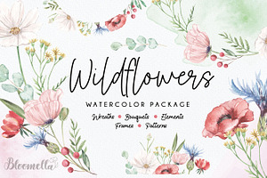 Wildflower Florals Poppies Flowers