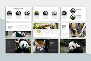 Animal Charity PowerPoint Template, a Presentation Template by litoondev (Thumbnail 2 of 10)