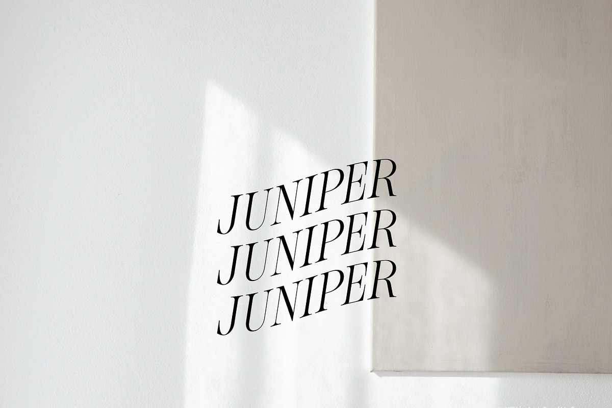 Minimal Logo Kit For Illustrator, a Branding & Logo Template by Forth and Wild (Photo 5 of 14)