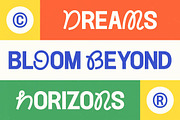 Mono Scribble Experimental Serif, a Serif Font by timelesstype.co (Thumbnail 4 of 10)