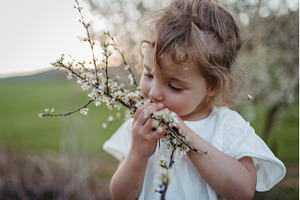 Cute girl smelling blooming flowers, a Person Photo by HalfPoint
