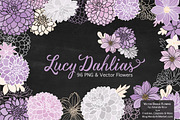 Lavender Dahlia Flowers Clipart, an Illustration by Amanda Ilkov (Thumbnail 2 of 4)