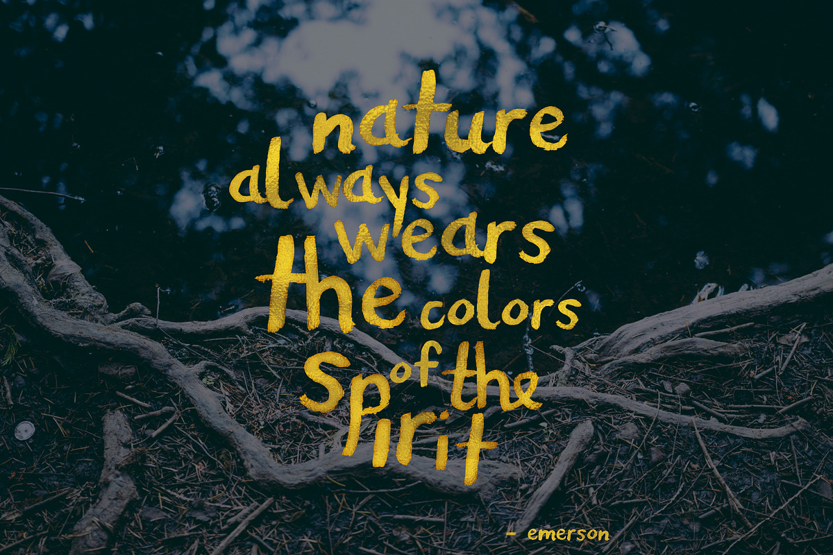 Premium Font Bundle, a Script Font by Flycatcher Design (Photo 134 of 140)