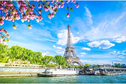 Bridge of Alexandre III, Paris, an Architecture Photo by Neirfy