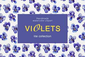 Violets – Floral Collection, a Graphic by NGliory