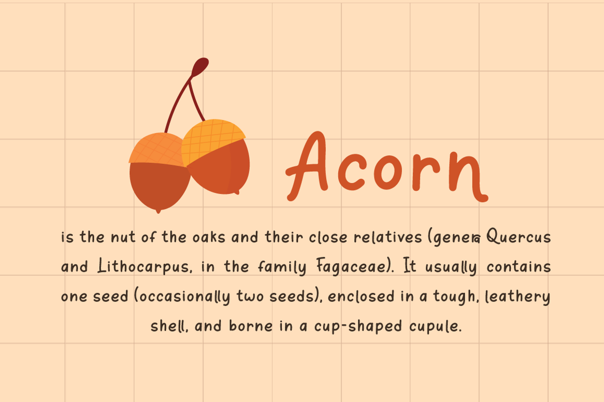 Orange Leafy - Autumn Display Font, a Script Font by Attype (Photo 4 of 8)