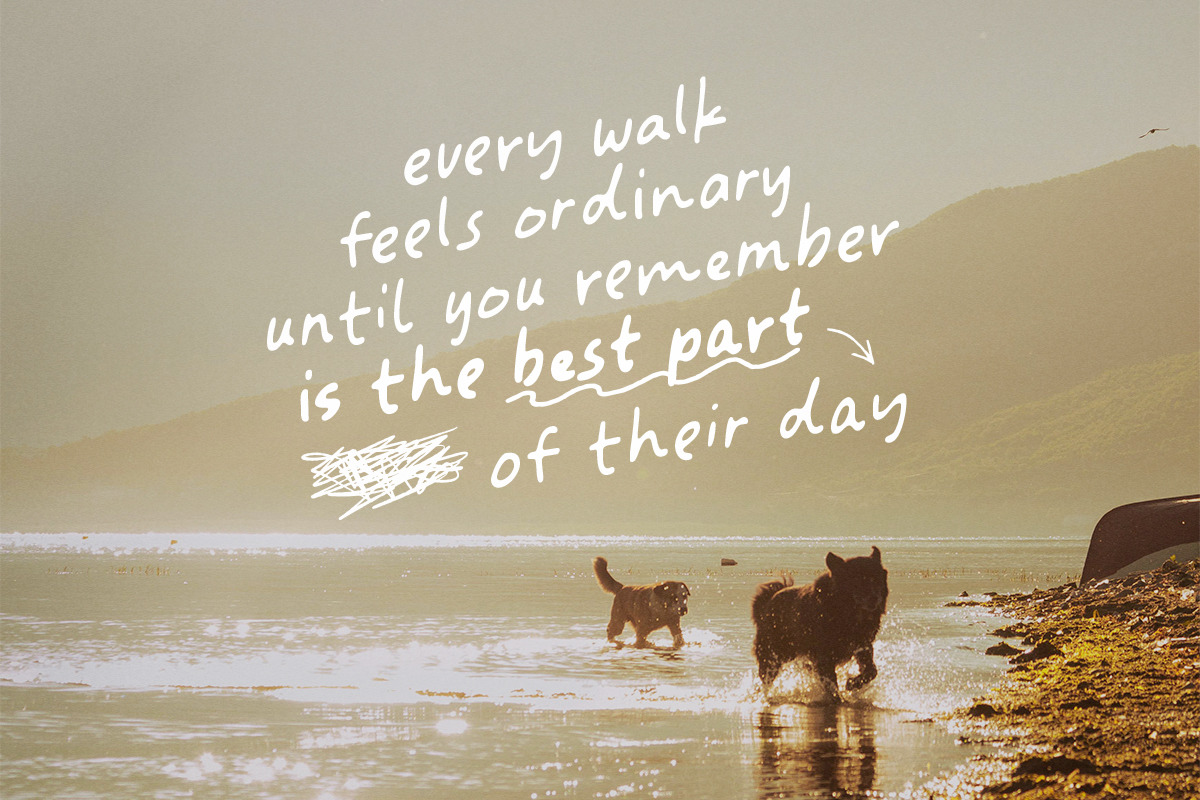 Journal Book - Quote Font Family, a Handwritten Font by Sarid Ezra (Photo 8 of 9)
