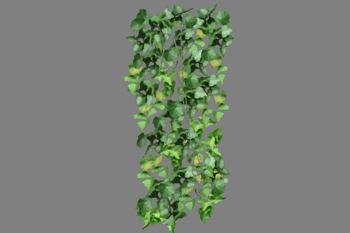 Ivy_Flat, an Environmental 3D Model by 2dawngames (Photo 2 of 2)