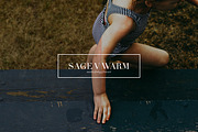 Sage, Moody Lightroom & ACR Presets, an Action Add-On by Darling Josephine (Thumbnail 20 of 27)