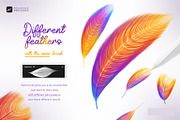 Feathers Procreate Brushes, a Brush Add-On by SPEED APEX (Thumbnail 6 of 7)