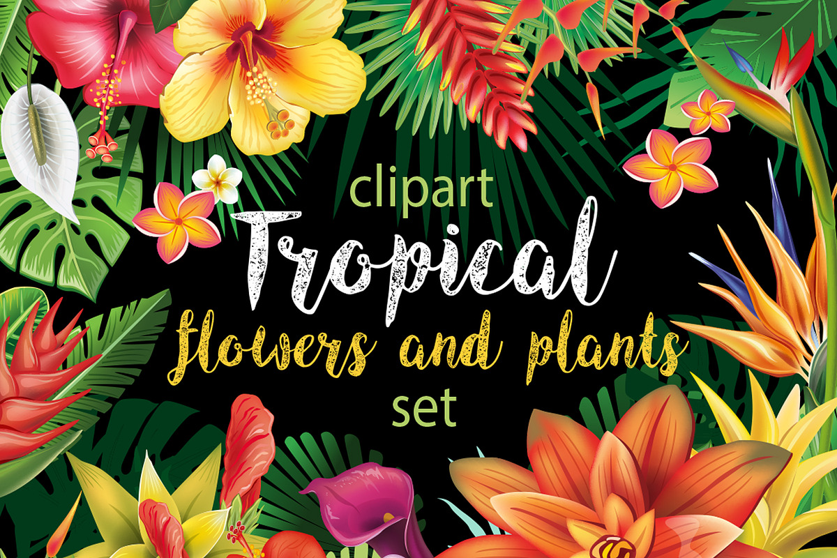 Tropical Flowers, an Illustration by ViktoriaARTprint (Photo 1 of 10)