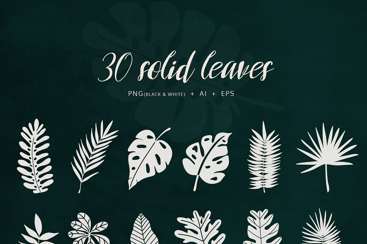 Tropical Leaves & Patterns, an Illustration by amber&ink (Photo 3 of 9)