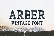 Arber Vintage font, a Script Font by Wild Ones (Thumbnail 1 of 12)