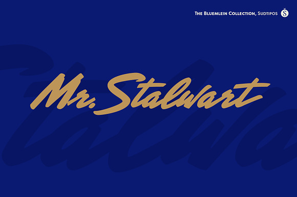 Mr Stalwart Pro preview 7