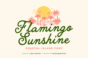 Flamingo Sunshine Coastal Font, a Handwritten Font by Tyasify