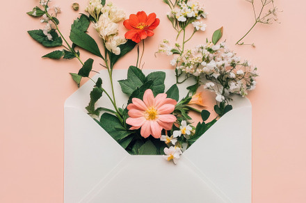 Pastel envelope floral design, a Photo by Beautiful things