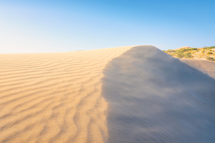 Sand dunes in the desert
