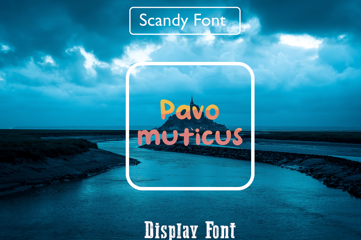 Pavo Muticus, a Font by Scandy Font (Photo 1 of 4)