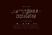 Dear Logical - Display Serif Font, a Serif Font by Matsero (Thumbnail 3 of 8)
