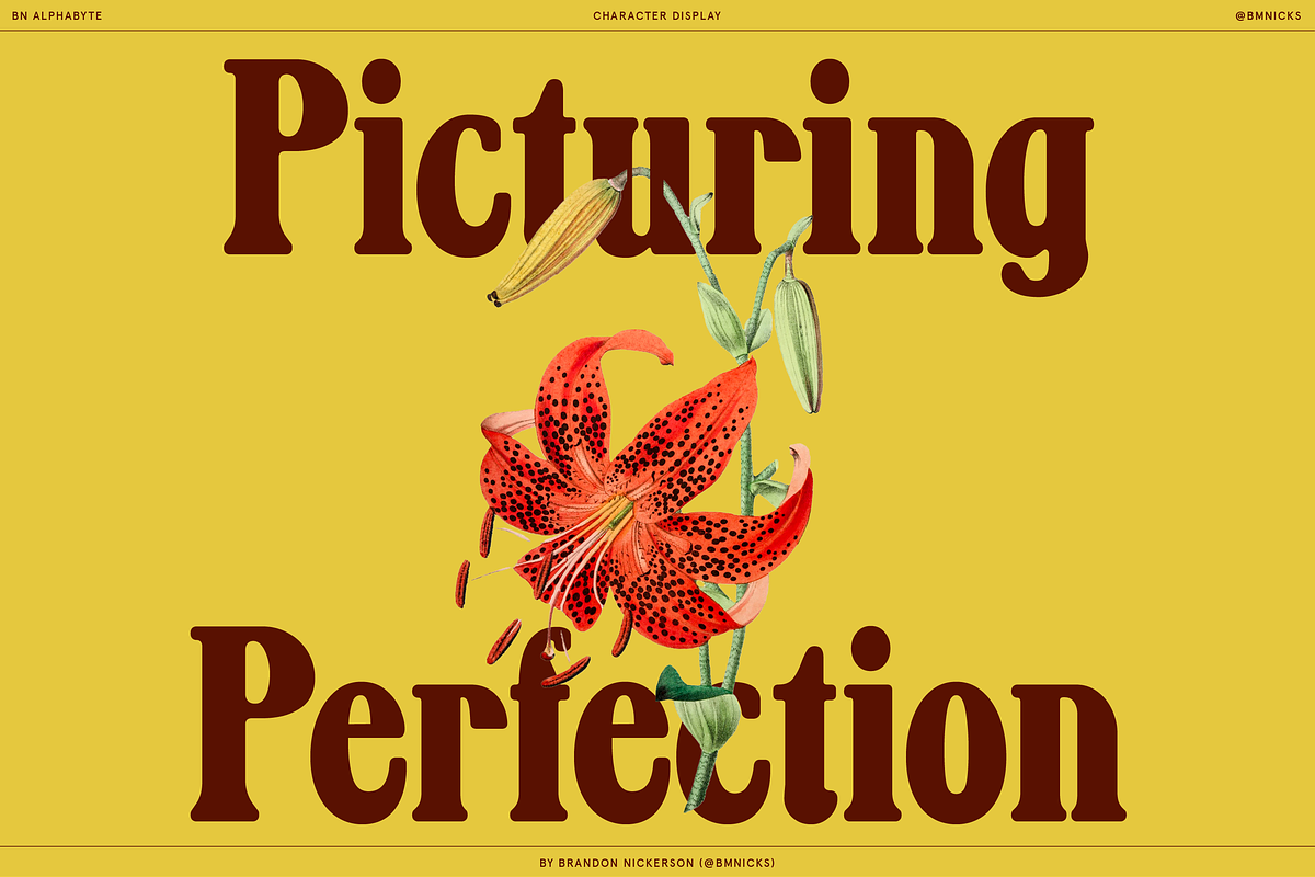 BN Alphabyte, a Serif Font by Bnick (Photo 3 of 14)