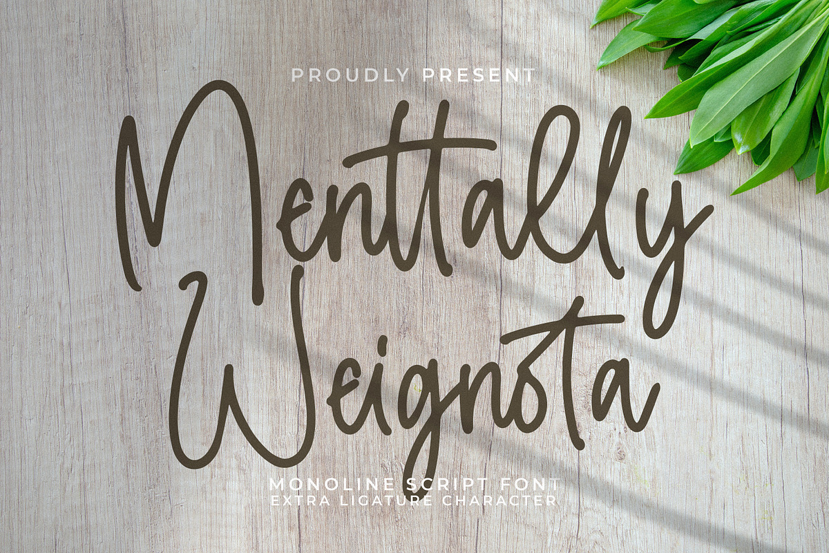 Menttally Weignota, a Script Font by Integritype Studio (Photo 1 of 15)