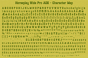 Horseplay AOE Pro, a Slab Serif Font by Astigmatic (Thumbnail 6 of 6)