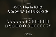 CANNERA Modern Ligature Serif, a Serif Font by Alfinart (Thumbnail 9 of 9)