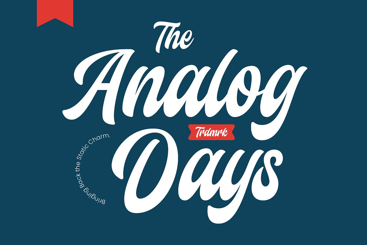 Camelate - Bold Script, a Script Font by Novitype (Photo 4 of 11)
