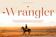 Harfine Modern Serif Font, a Serif Font by Letterena Studios (Thumbnail 4 of 15)