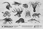 125 Vector Bitmap Assets. Biology, a Graphic by Vanzyst (Thumbnail 3 of 16)