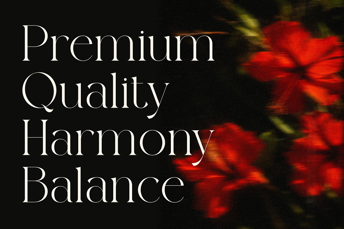 Rolling Fonte - Luxury Typeface, a Serif Font by Muflieart (Photo 2 of 12)