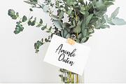 Malenna Script, a Script Font by Indotitas (Thumbnail 6 of 7)