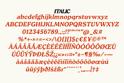 Free Spirited, a Serif Font by Horlleys (Thumbnail 17 of 20)