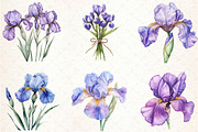 Watercolor Iris Flower Clipart Bundl, an Illustration by Libby Wishes (Thumbnail 2 of 6)