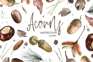 Acorns Watercolor Clipart. Forest.