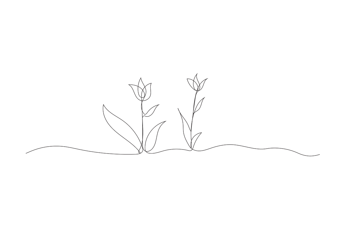 tulip botanical floral sketches, an Object Graphic by lawoel (Photo 3 of 3)