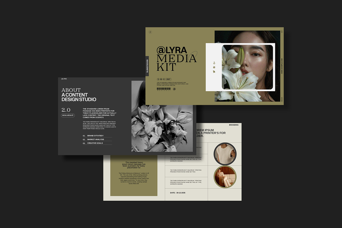 Lyra | Media Kit Template, a Presentation Template by slidestock55 (Photo 4 of 13)