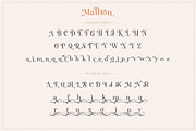 Mailton Typeface, a Serif Font by alit design (Thumbnail 5 of 23)