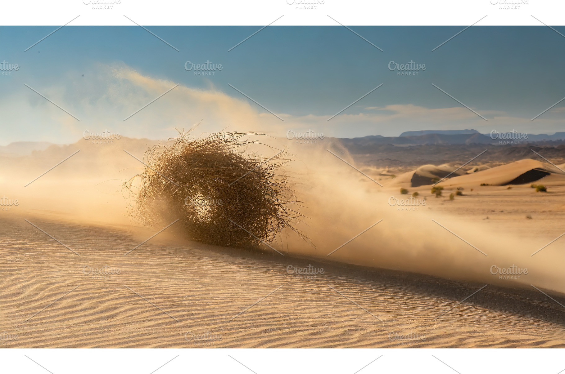 Tumbleweed rolling through a sandy, a Background Photo by Igor Tichonow