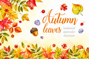 Autumn leaves. Watercolor collection, a Decorative Illustration by Ekaterina Mikheeva (Thumbnail 1 of 8)
