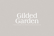 Horizon - Modern Serif, a Serif Font by Schrifted Type (Thumbnail 4 of 8)