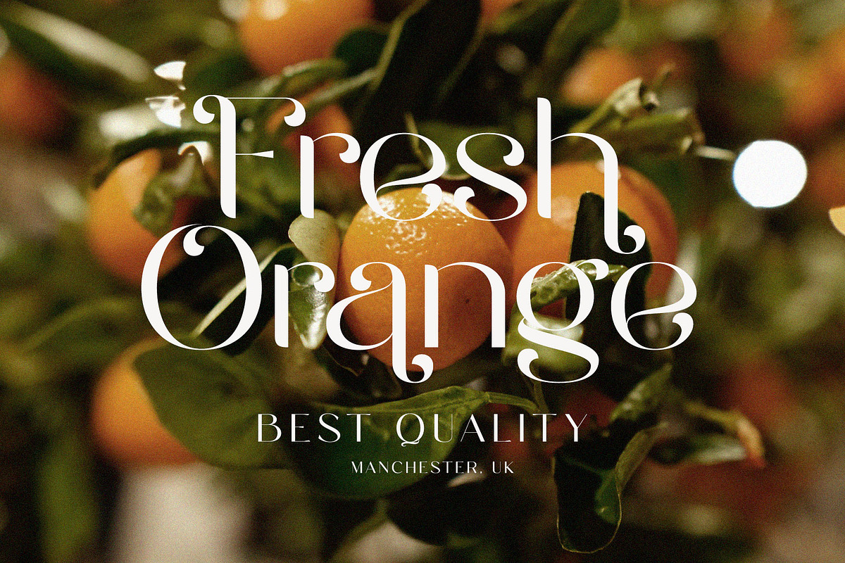 Rantera - Display Ligature Sans, a Sans Serif Font by epicatype (Photo 8 of 11)