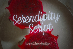 Serendipity Script Calligraphy Font