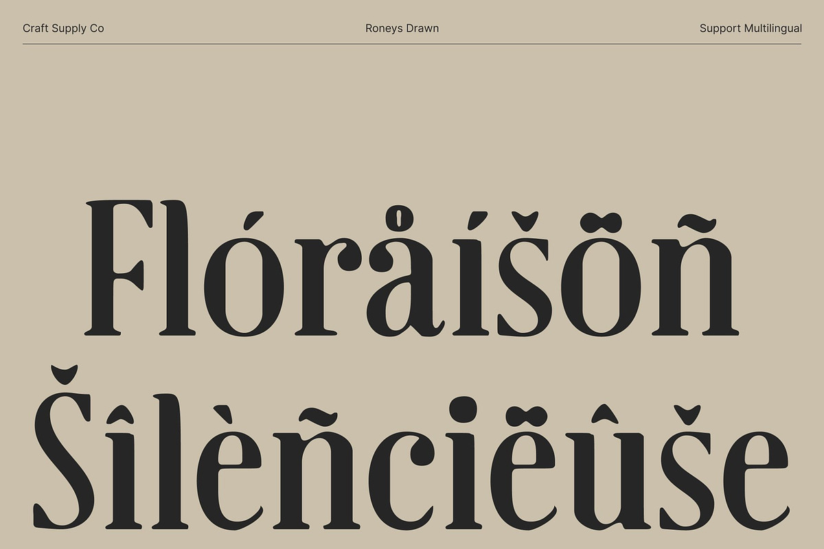Roneys Drawn, a Serif Font by Craft Supply Co. (Photo 6 of 8)