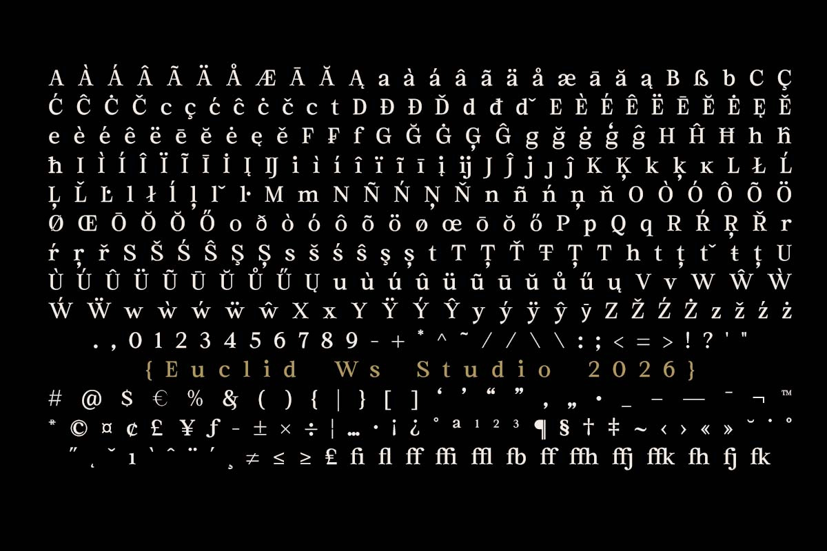 Euclid Serif | 180 Font Files, a Serif Font by Ws Studio (Photo 12 of 12)