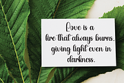 Bright | Script Font, a Handwritten Font by Scratchones (Thumbnail 9 of 9)