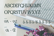 RENDA - Serif, a Serif Font by Olexstudio (Thumbnail 6 of 8)