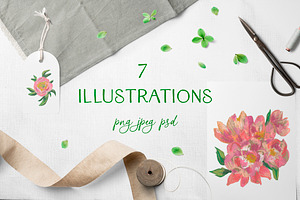 Peonies Clipart, an Illustration by Lucyinyourheart