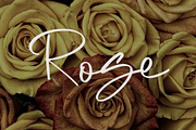Almattine - Elegant Script Font, a Script Font by NTC Graphic (Thumbnail 5 of 9)